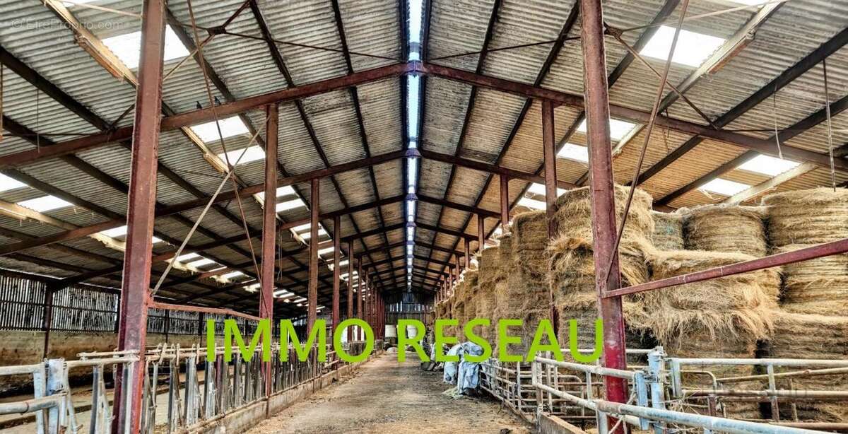 Commerce 5500 m² à Saint-Hilaire-De-Riez  - photo 6