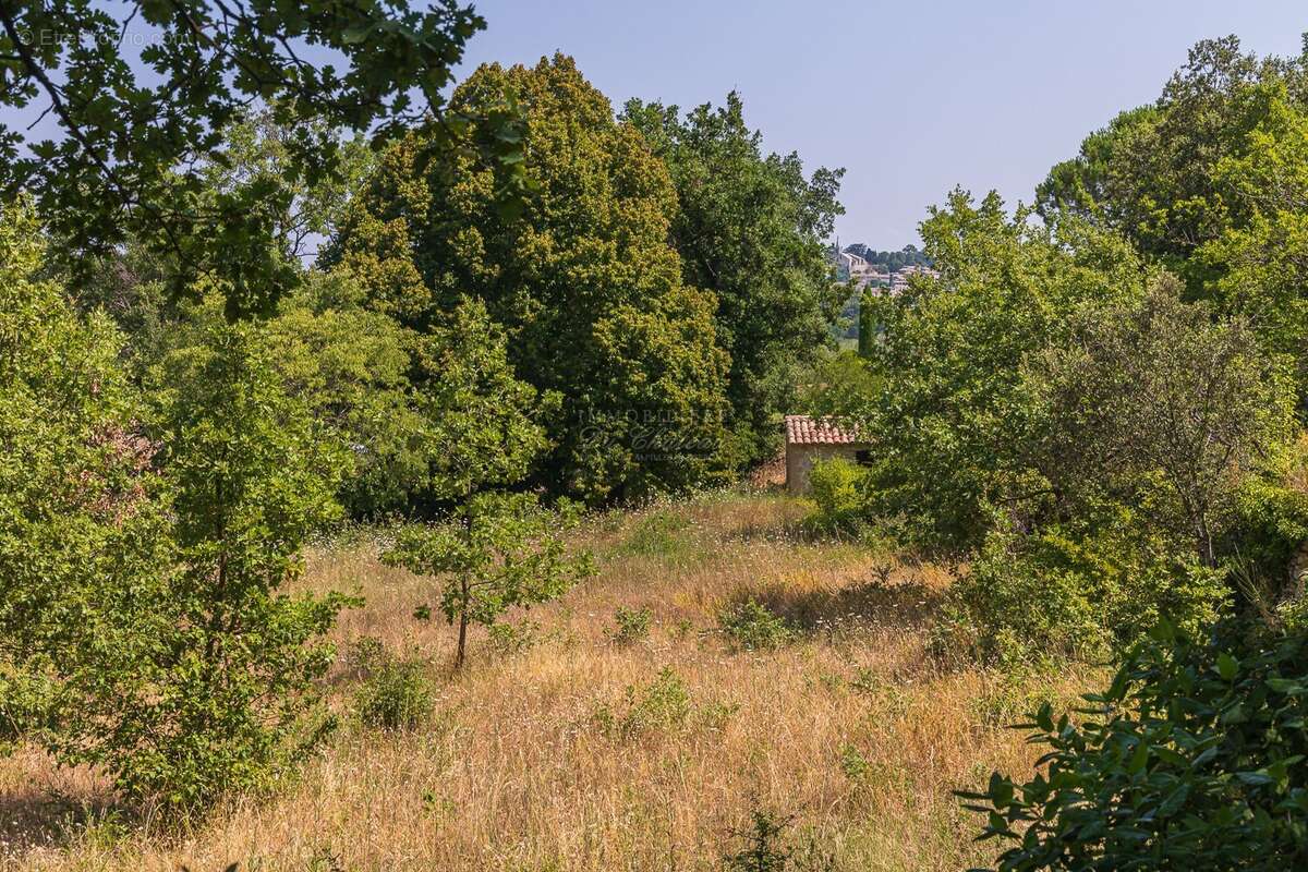 Ancienne bergerie de caractère à Bonnieux au cur d'un environnement naturel préservé - photo 5