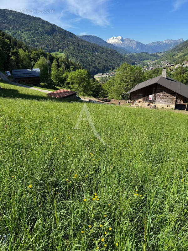 Terrain Le Grand Bornand - photo 4