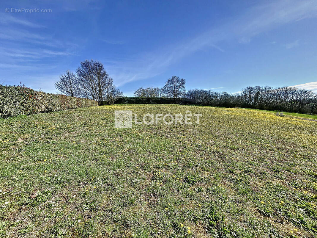 Terrain à VILLEMUR-SUR-TARN