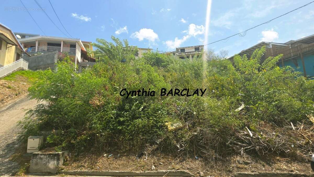 Terrain constructible - photo 4