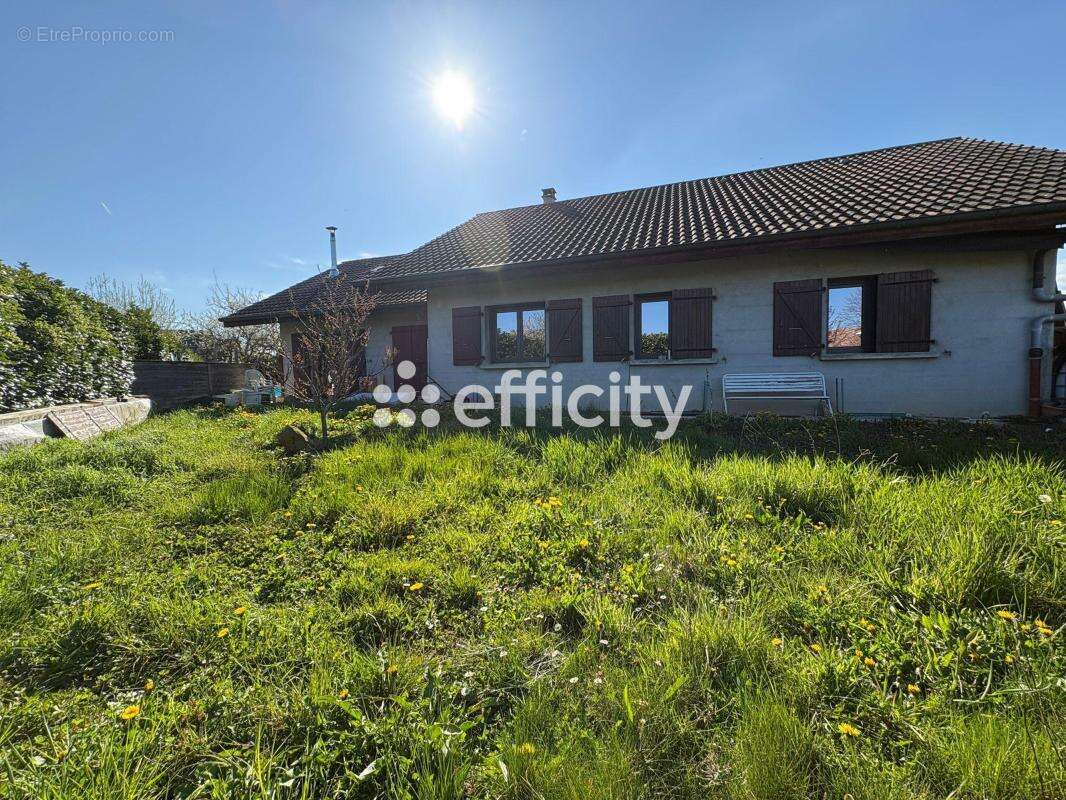 Maison à VEIGY-FONCENEX