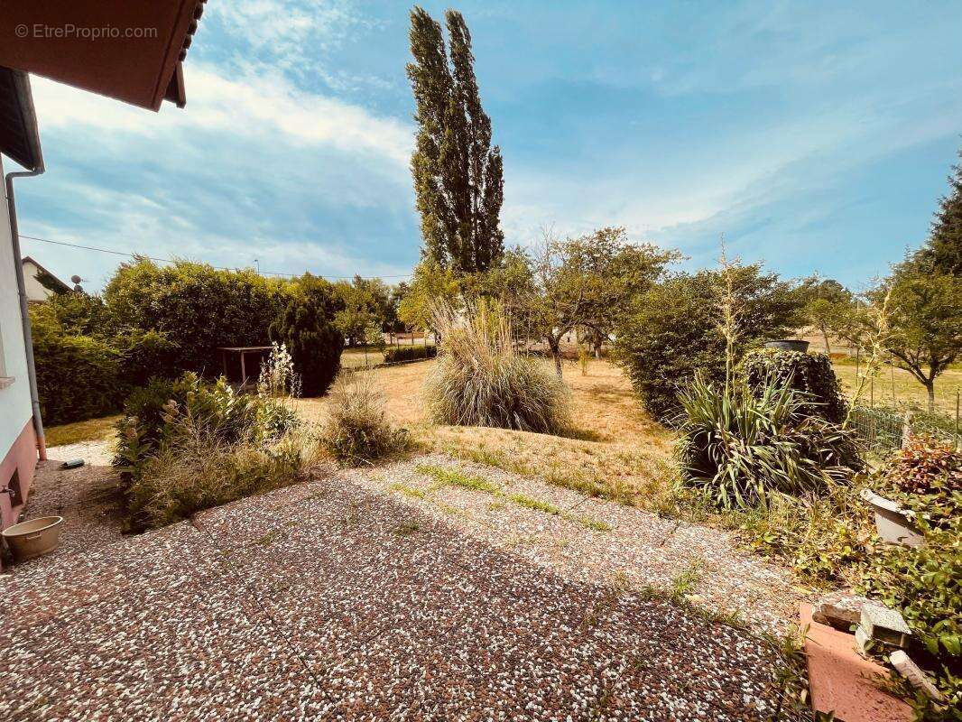 Maison À Vendre à HAGUENAU - photo 37