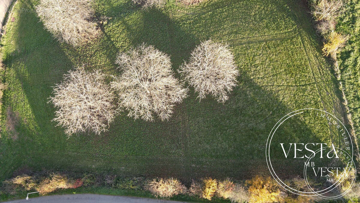 Terrain à MONTENOIS