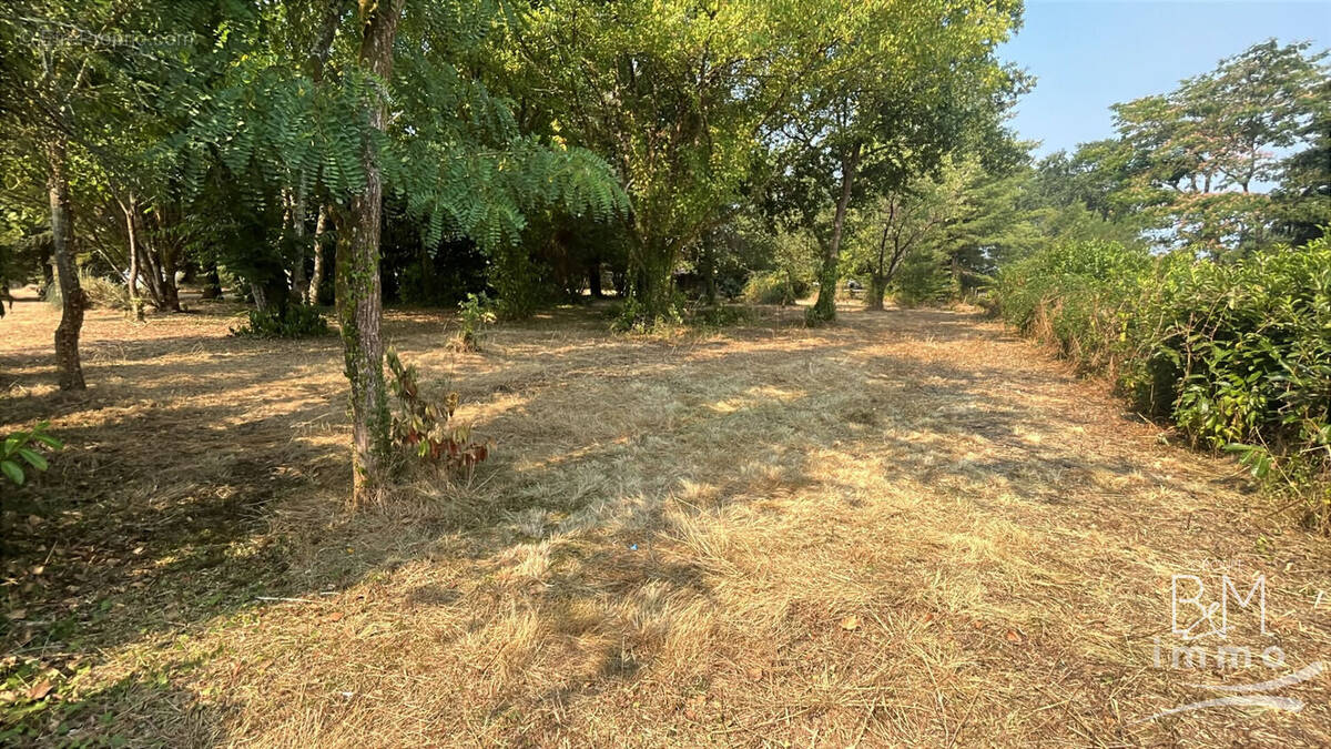 Terrain à TALLER