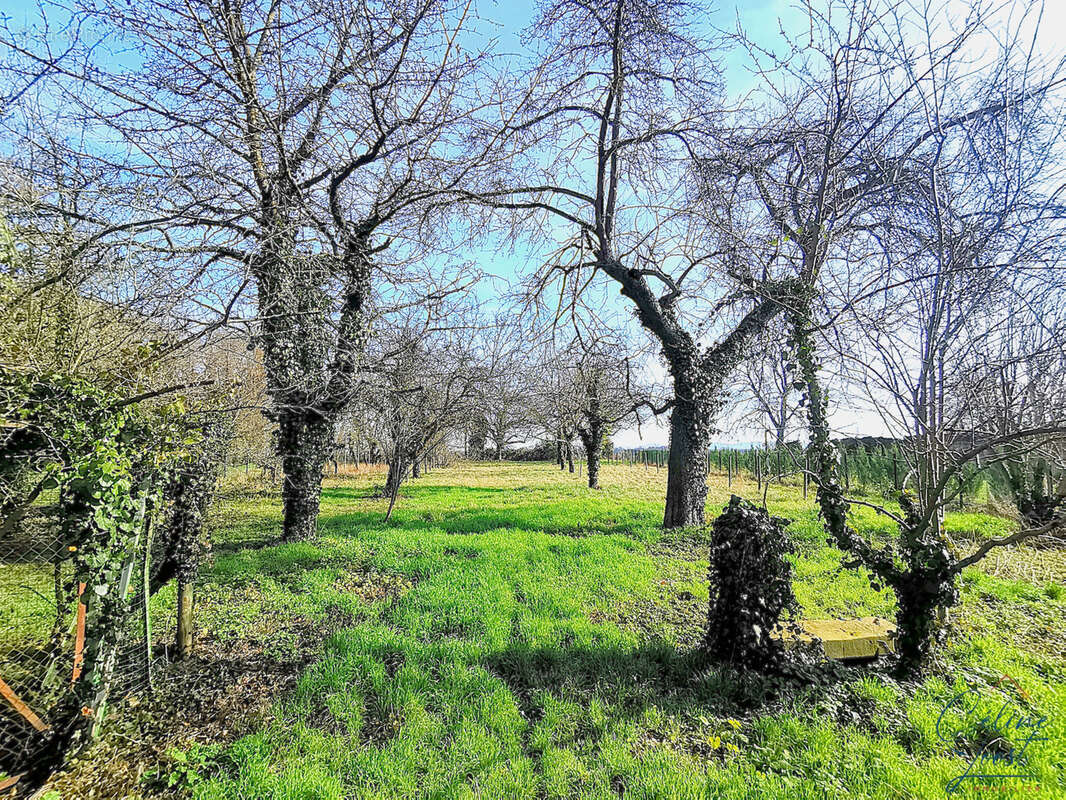 Propriété composée d'une maison principale et dépendances sur 34 ares ! - photo 3