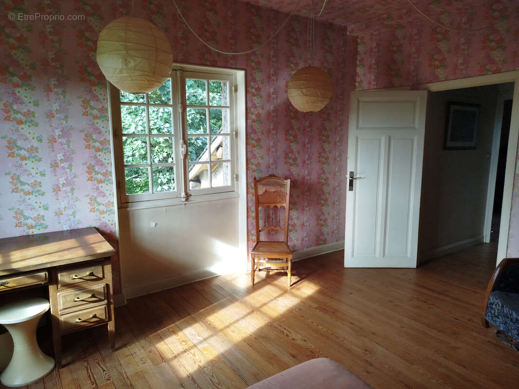 Bellerive sur allier, maison d'architecte avec travaux dans un parc arbore de 3 800 m2 - photo 13