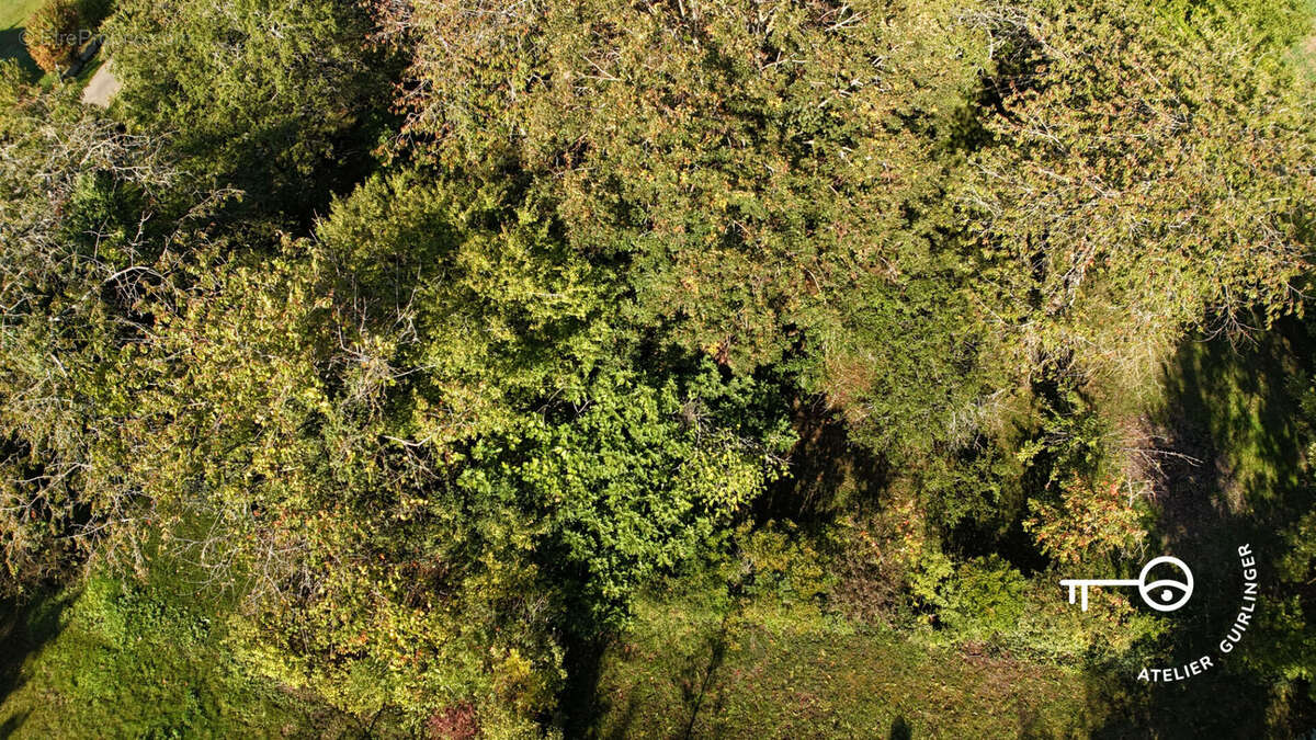 Terrain à OUZOUER-LE-MARCHE