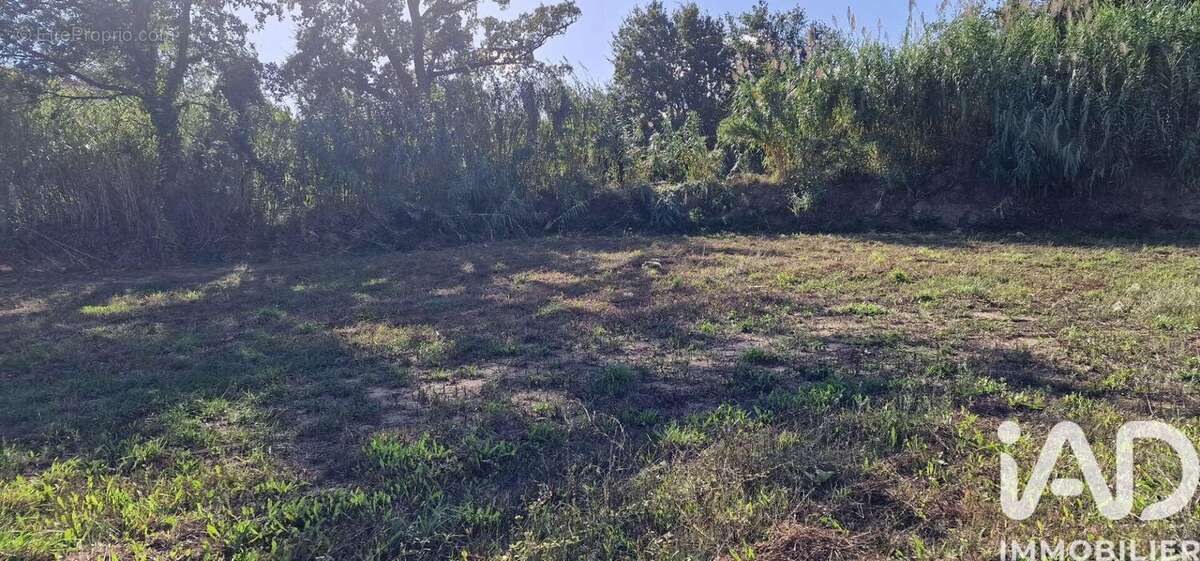 Photo 6 - Terrain à BAHO