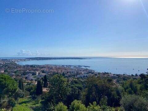 Maison 254 m² à Cannes  - photo 2