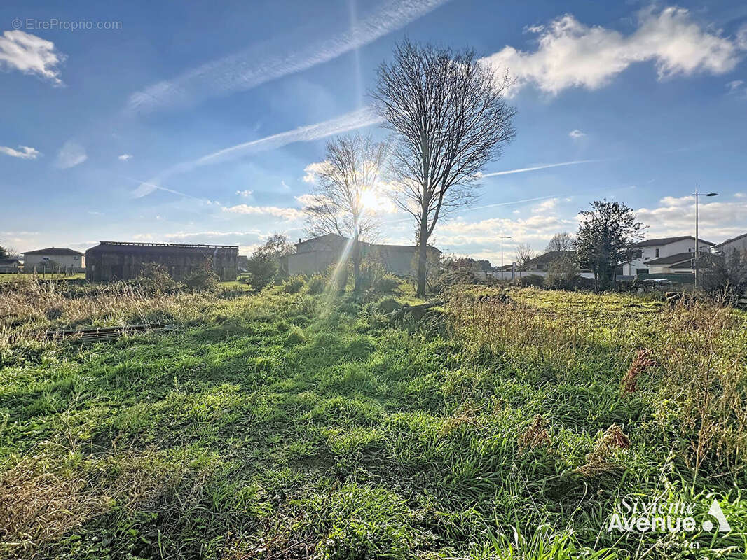 Terrain à SOLAIZE