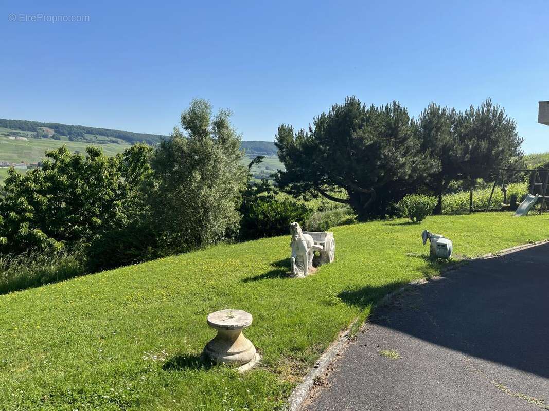 Maison 295 m² à Oeuilly  - photo 4