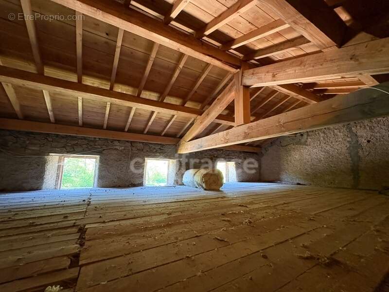A. SAINT THURIN (42) Maison de 65 M2 avec garage attenant et parcelle de bois de 4400 m2 - photo 8