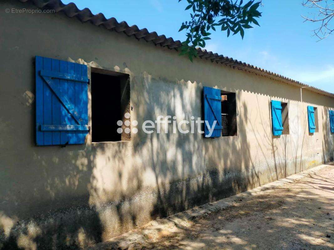 Maison 242 m² à Eyguieres  - photo 11