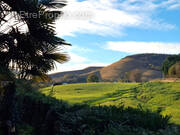 Maison à MAULEON-LICHARRE