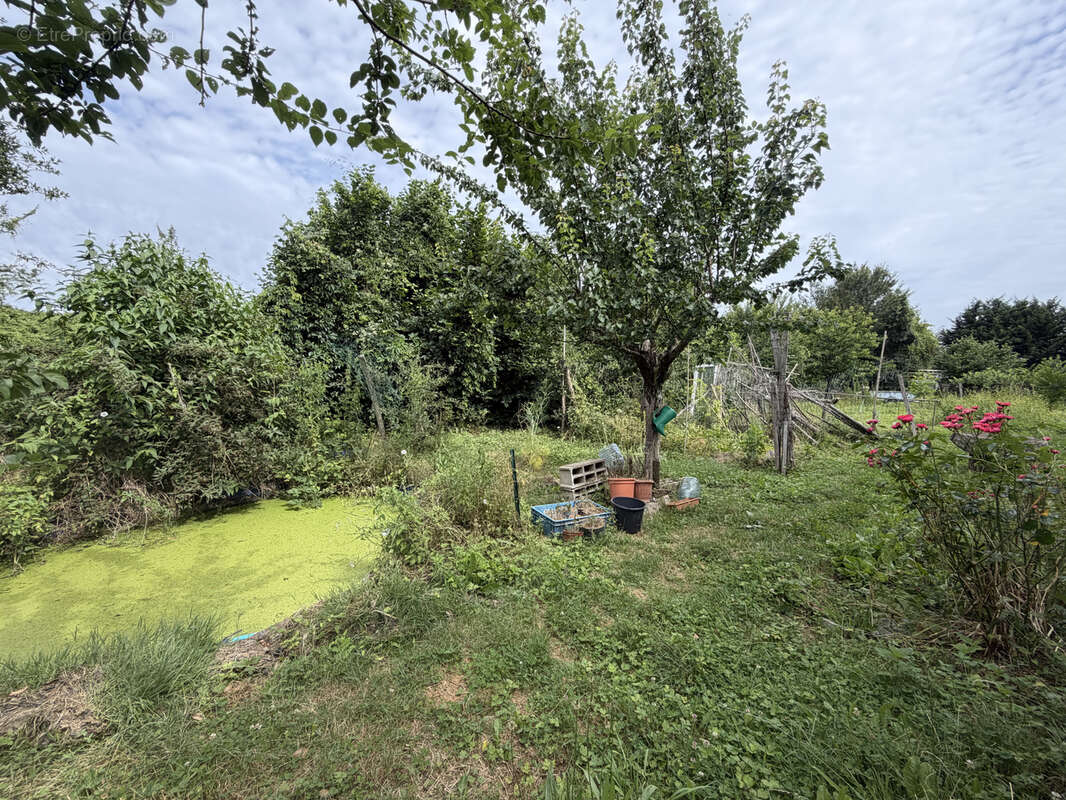 La ville a la campagne - photo 8