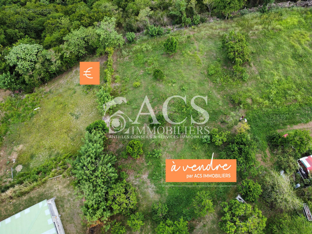 Terrain à LE CARBET