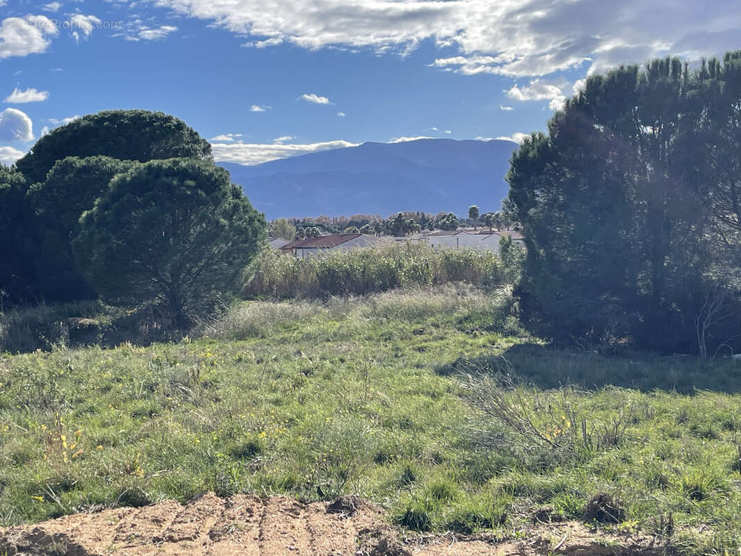 Terrain à LATOUR-BAS-ELNE