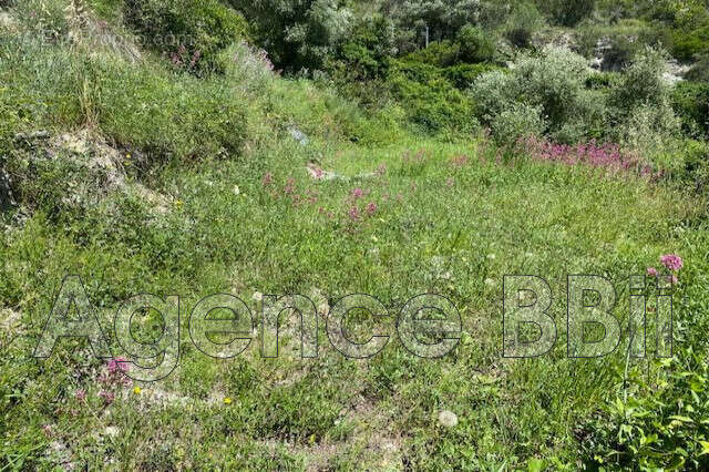Terrain à Nice  - photo 2