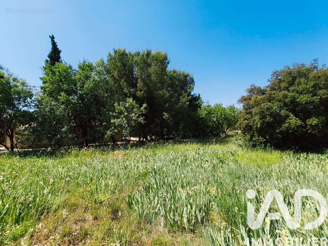 Photo 8 - Maison à CANET