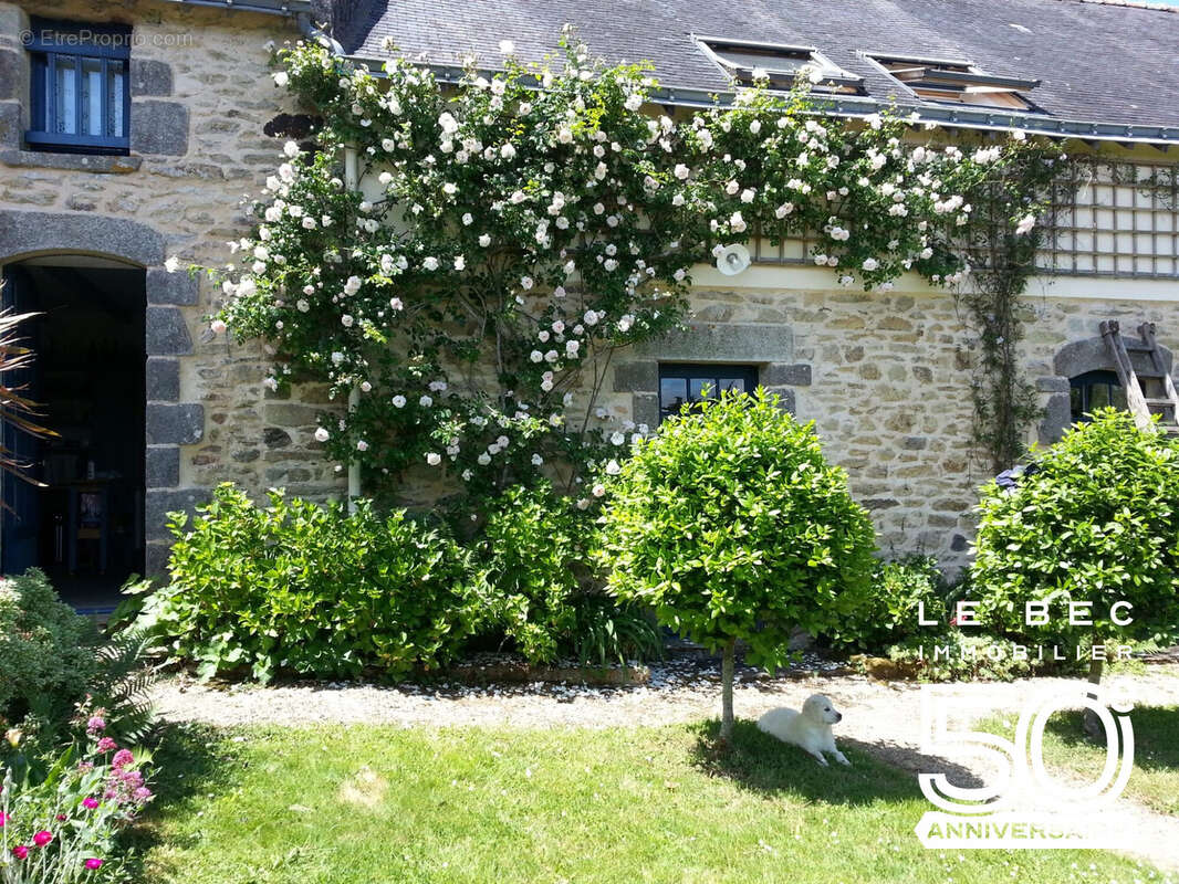 Maison 257 m² à Surzur  - photo 3