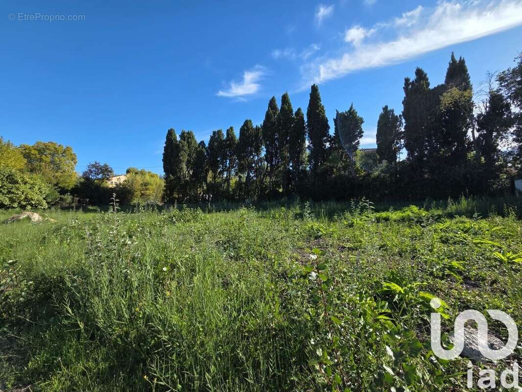 Photo 4 - Terrain à SAINT-REMY-DE-PROVENCE