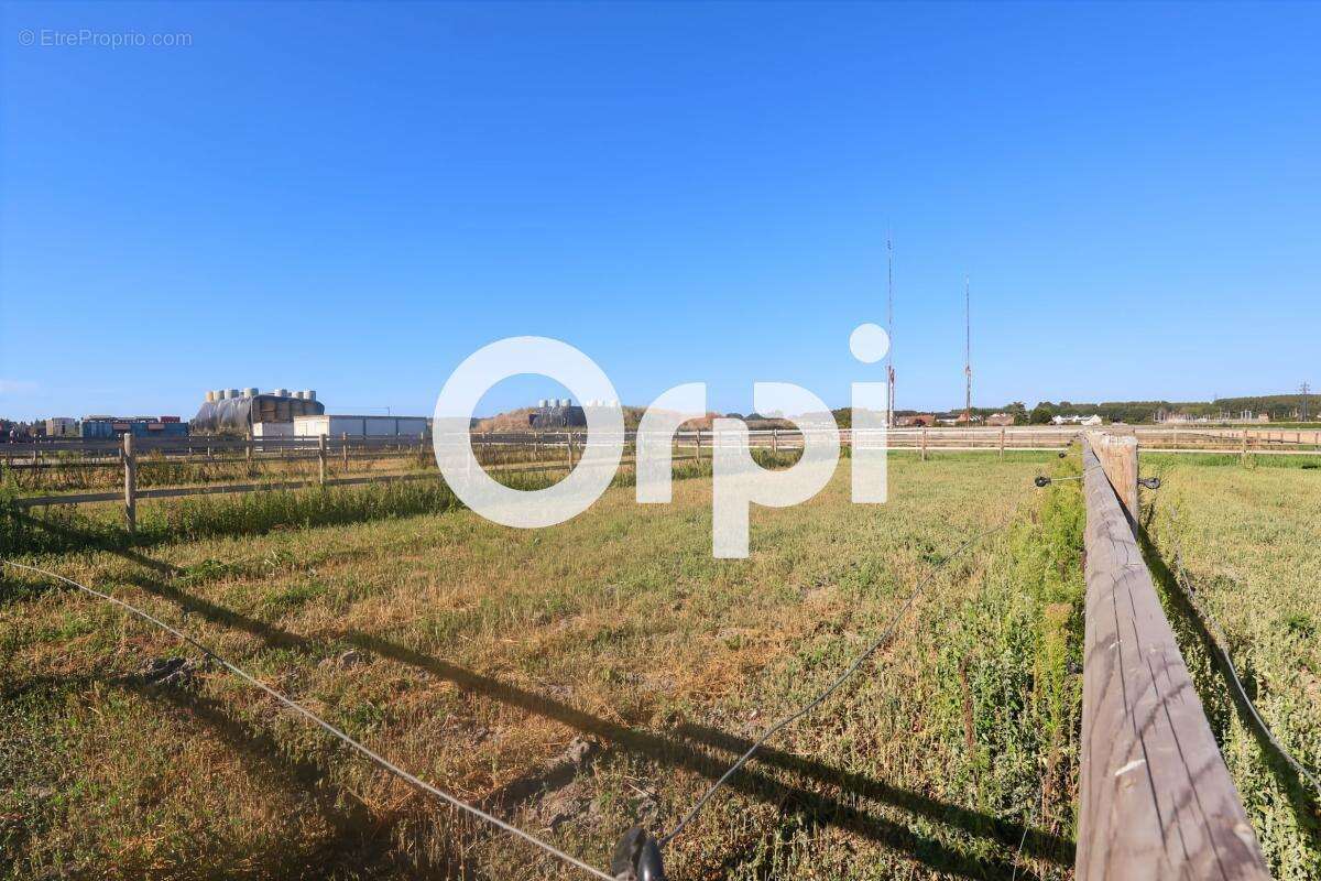 Domaine équestre de 5,5 hectares avec infrastructures de qualité à Cappelle-la-Grande - photo 9