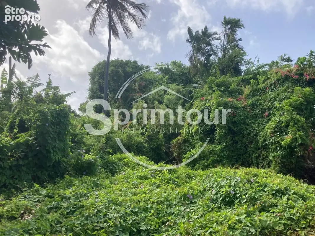 À vendre   Terrain constructible de 2999 m2 à Basse-Terre - photo 21