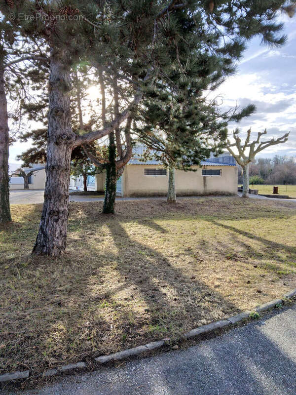 Commerce à BARCELONNE