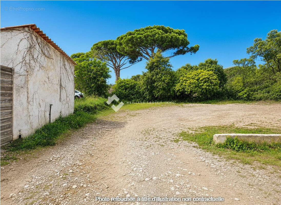 Terrain à PIETRACORBARA
