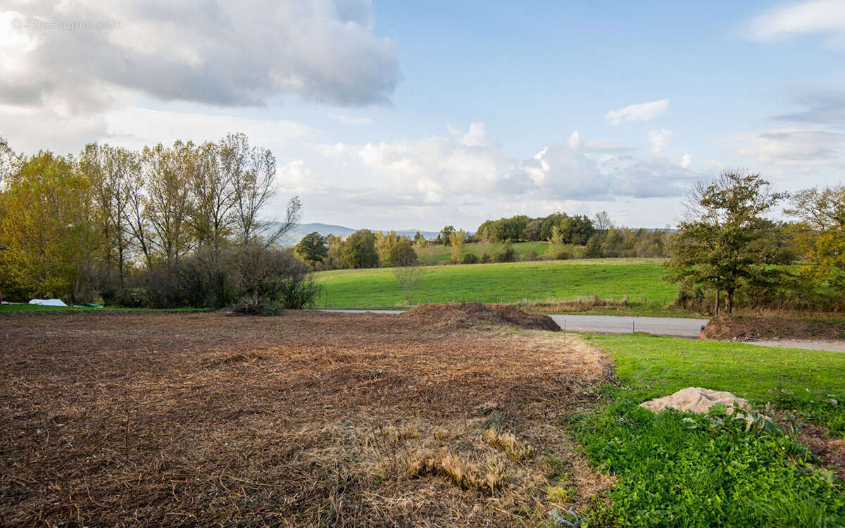 Terrain à DRUELLE