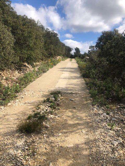 Photo 6 - Terrain à SAINT-BONNET-DU-GARD