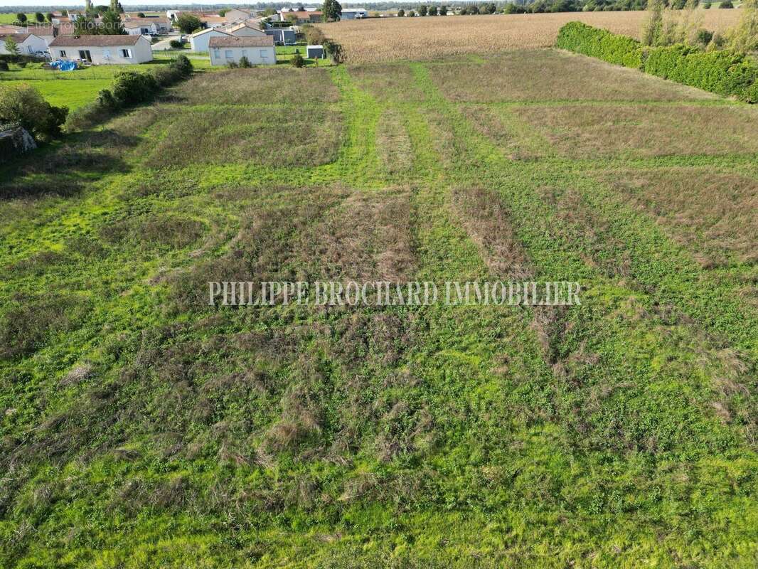 Terrain à MOUZEUIL-SAINT-MARTIN