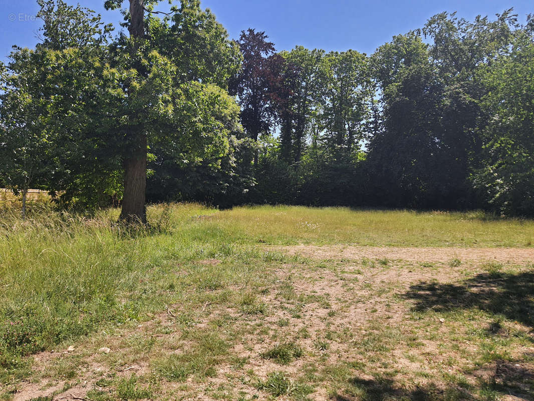 Terrain à LA CELLE-SAINT-CLOUD