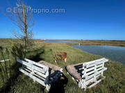 Maison à SAINT-JUST-LUZAC
