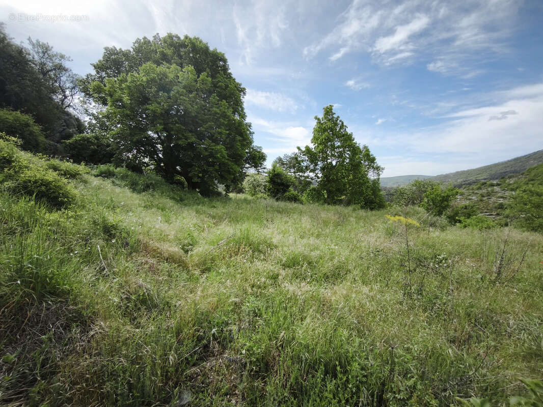 Terrain à COMPS-SUR-ARTUBY