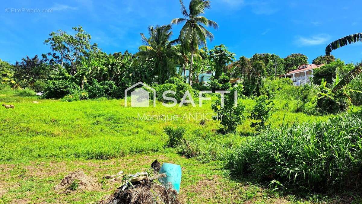 Photo 2 - Terrain à LE FRANCOIS