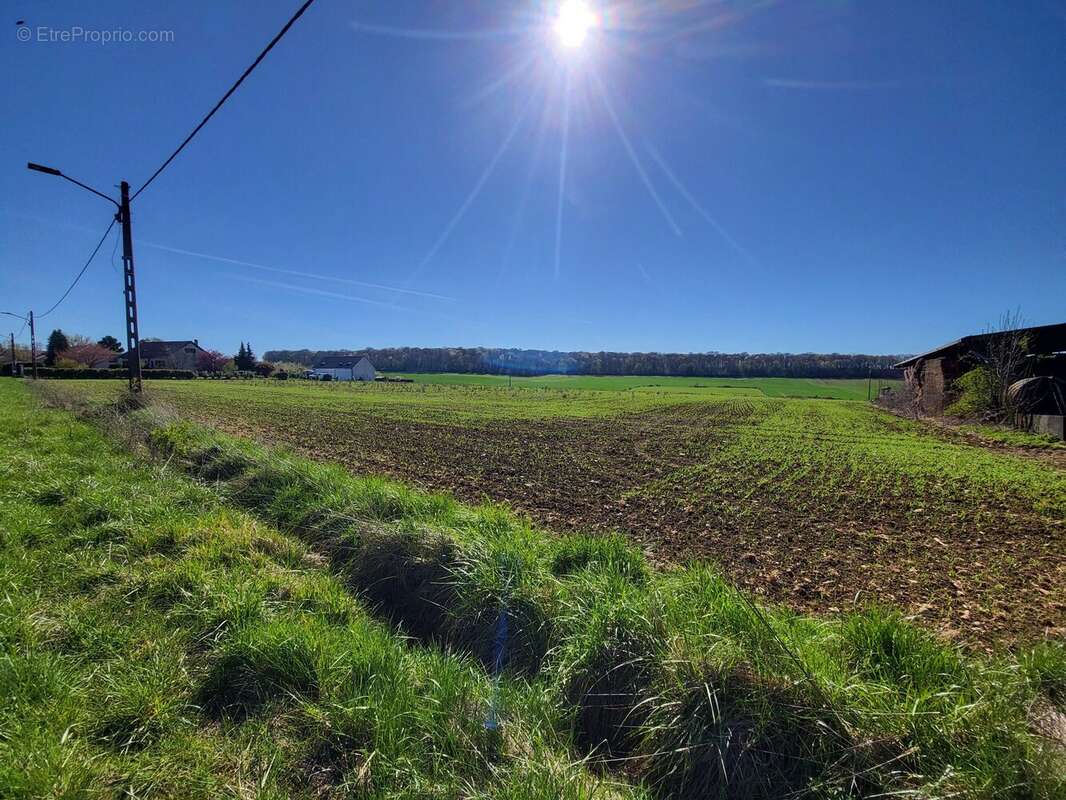 Terrain à DONCOURT-LES-LONGUYON