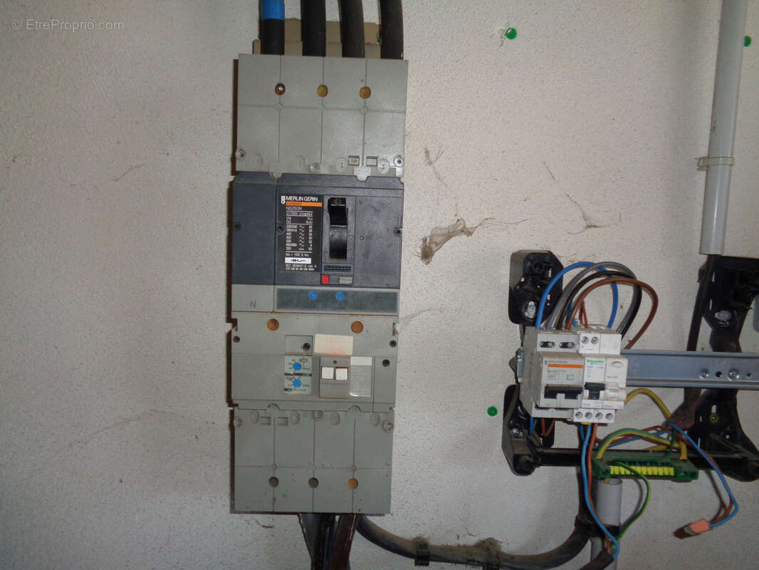 Commerce à AIMARGUES