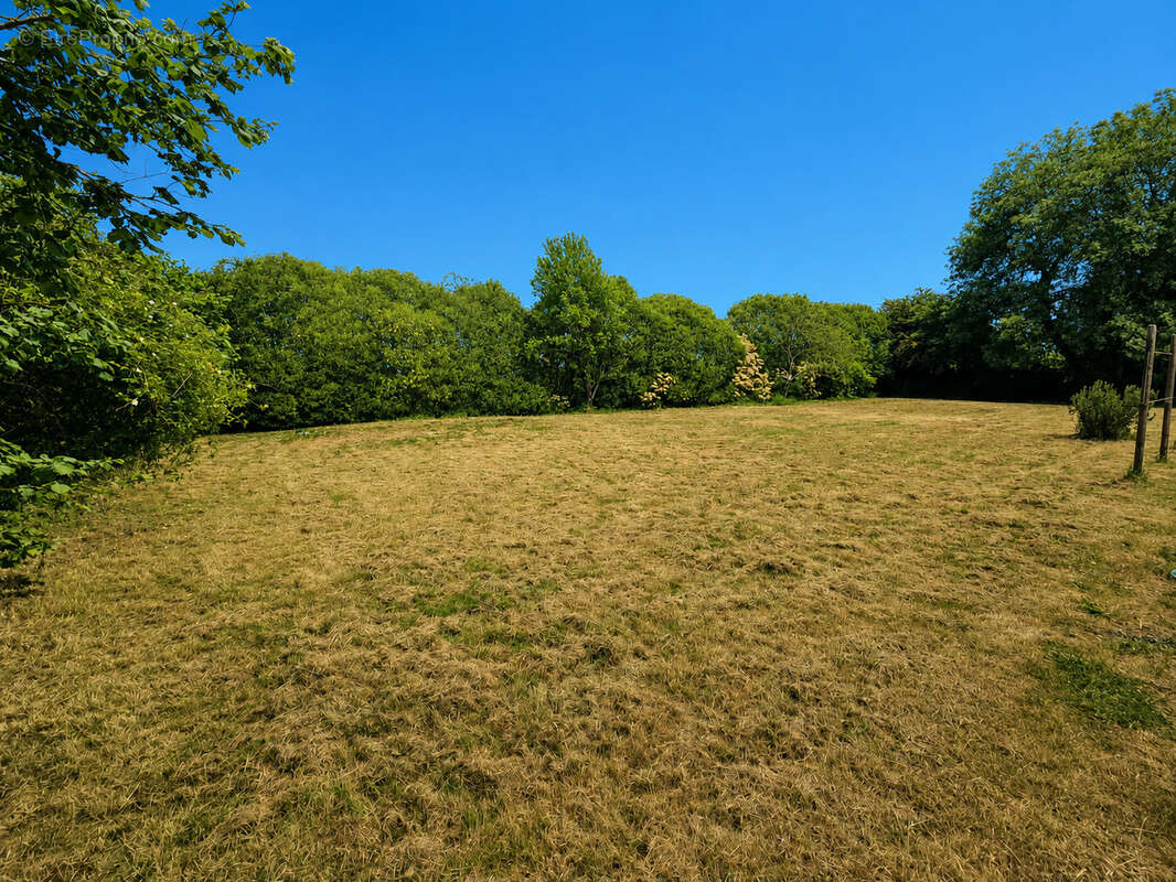 Les herbiers campagne ! 5 chambres ! - photo 10