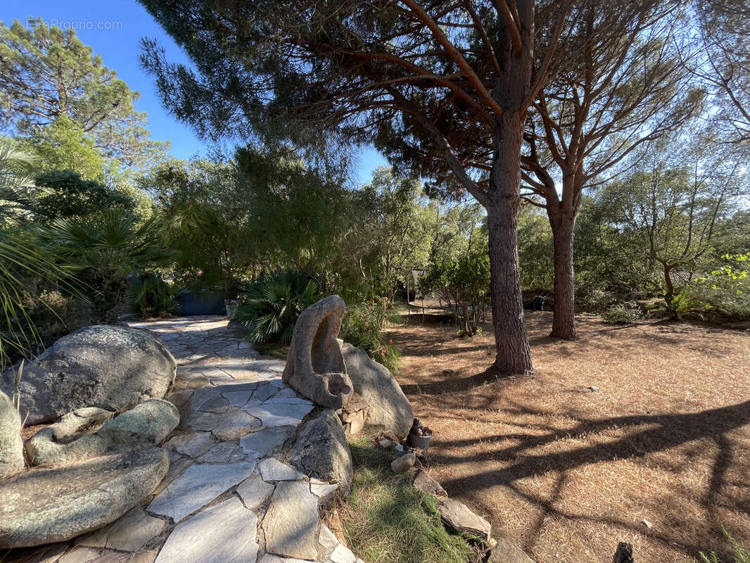 Maison à PORTO-VECCHIO