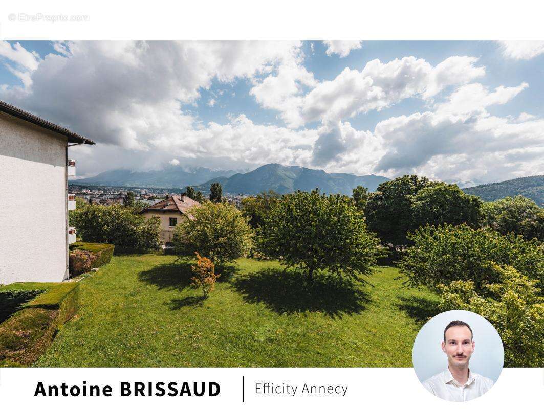 Appartement - photo 4