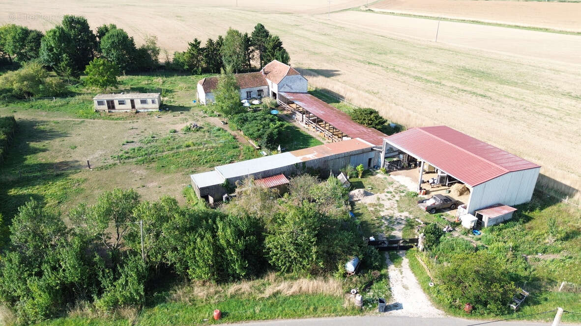 Maison à LA FERTE-GAUCHER