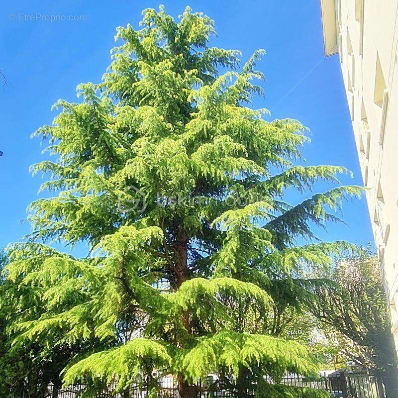 Appartement à CHOISY-LE-ROI