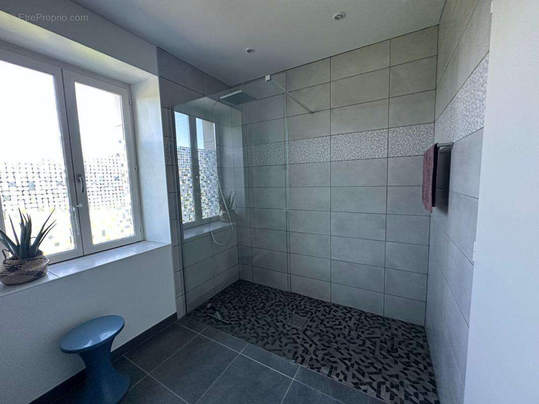Magnifique bien de 299 m² sur la commune de Vicq Sur Nahon - photo 9