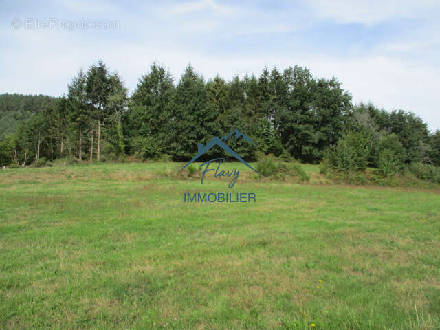 Terrain à BRUYERES