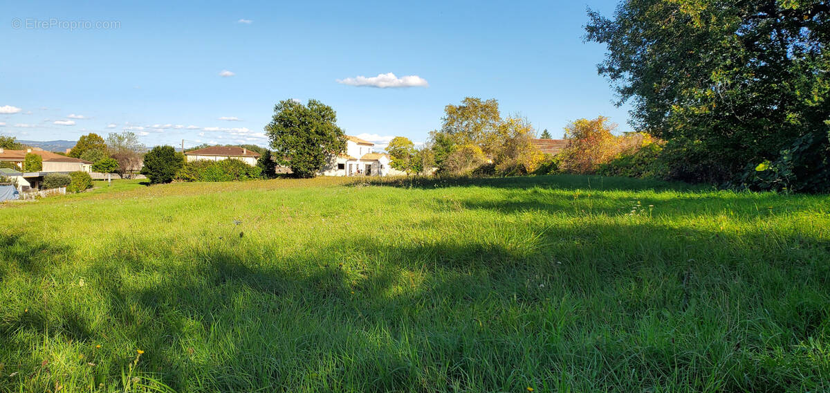 Terrain à LE SEQUESTRE