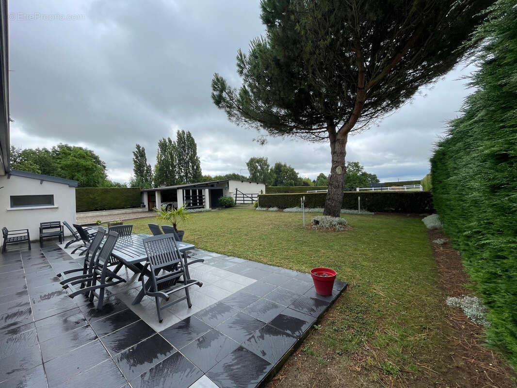 PAVILLON 200m2-Terrain 3083m2-Garage double-Installations équestre - photo 4