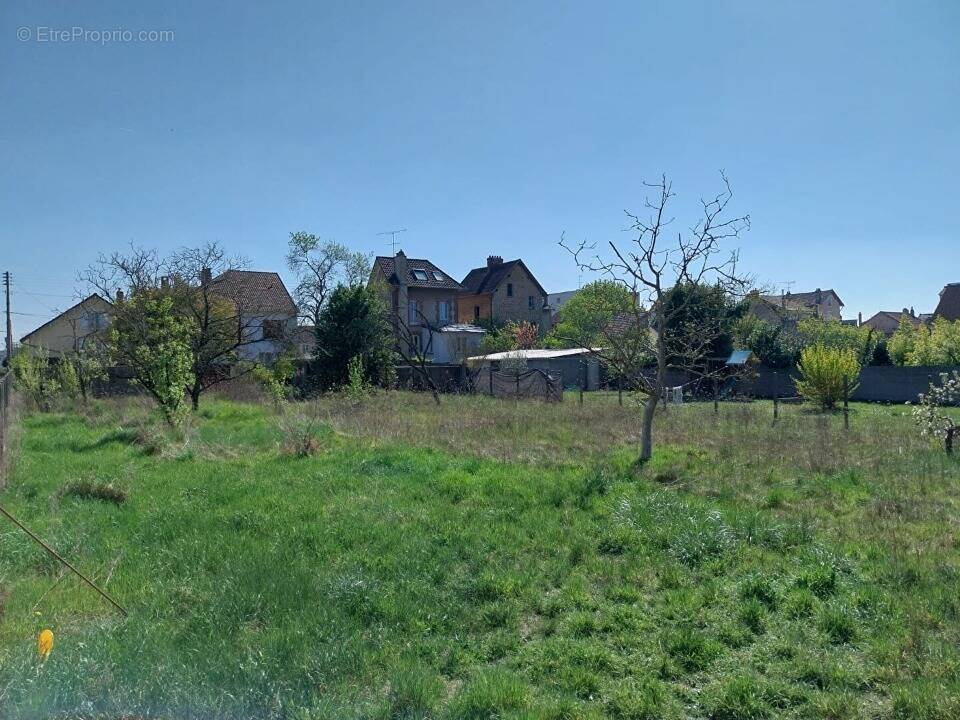 Terrain à LES MUREAUX