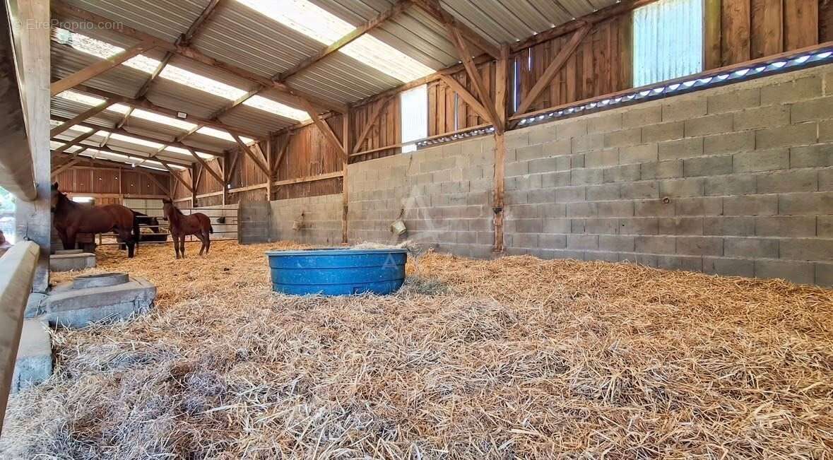 Haras 40 hectares (extension possible à 58 hectares) - photo 8